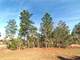 1.25 Acres in Dunnellon FL Photo 4