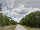 1.25 Acres in Dunnellon FL Photo 5