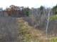 Great Hunting Land with Building Possibilities Clark County WI Photo 10