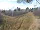 Great Hunting Land with Building Possibilities Clark County WI Photo 12