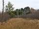 Great Hunting Land with Building Possibilities Clark County WI Photo 13