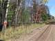 Great Hunting Land with Building Possibilities Clark County WI Photo 2