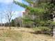Great Hunting Land with Building Possibilities Clark County WI Photo 3