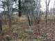 Great Hunting Land with Building Possibilities Clark County WI Photo 7