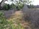 Great Hunting Land with Building Possibilities Clark County WI Photo 9