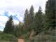 302 Acres Timber Alta CA Photo 2