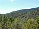 235753 - Acre Colorado Mountain Property Within Minutes Salida Photo 10