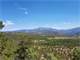 235753 - Acre Colorado Mountain Property Within Minutes Salida Photo 6