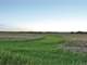 Cloud County Kansas Farmland Auction Photo 1