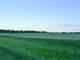 Cloud County Kansas Farmland Auction Photo 6