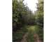 246 ± Acres Recreational Tract