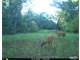 262 Turn Key Hunting Property in Wisconsin Dells