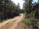 2642 Acre Hunting - Recreation Property in Eastover SC