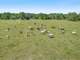 820± Acre High Fenced Game Ranch Minerals Plus 733± Mineral Acres Photo 12