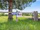 820± Acre High Fenced Game Ranch Minerals Plus 733± Mineral Acres Photo 8