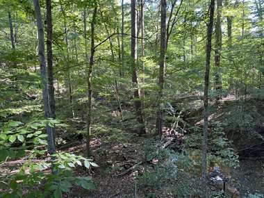 Listing: 2674535, Bloomington, IN