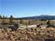 280 Acres with 2 Cabins and Bunk House in Gmu