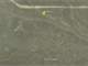 5 Acres in Park County CO Photo 4