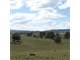 5.99 Acres in South Park Ranches Photo 1