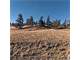 5.99 Acres in South Park Ranches Photo 4