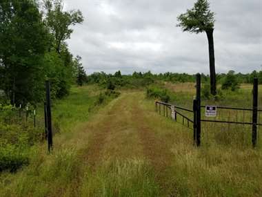 Listing: 2919761, Karnack, TX