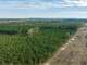 Timber Farm and Hunting Land in Pittsburg County TX for Sale Photo 10
