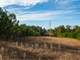 Timber Farm and Hunting Land in Pittsburg County TX for Sale Photo 16