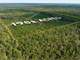 Timber Farm and Hunting Land in Pittsburg County TX for Sale Photo 6