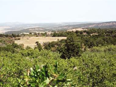 Listing: 3202501, Glade Park, CO