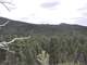 Forested Colorado Hunting Property in San Luis Valley Photo 2