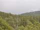 Forested Colorado Hunting Property in San Luis Valley Photo 4