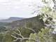 Forested Colorado Hunting Property in San Luis Valley Photo 6