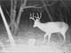 Country Home ON Recreational Hunting Acreage in Stroud Oklahoma Photo 10