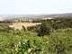 35± Acre Lot Homesites in Colorado