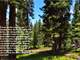 Owner Financing - Colorado Hunting Its Finest- Treed Alpine in the Rockies Photo 3