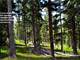 Owner Financing - Colorado Hunting Its Finest- Treed Alpine in the Rockies Photo 4