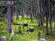Owner Financing - Colorado Hunting Its Finest- Treed Alpine in the Rockies Photo 5