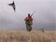 Best Place in the West Deer Pheasant Quail Bobcat 450000 Stocked Steelhead Photo 20