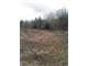 212 Acres Tennessee Prime Hunting Land for Only $865 Per Acre Photo 8