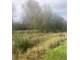 Bruce- Rec- 80-Peeler-Rusk Great Hunting Photo 3