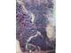 Bruce- Rec- 80-Peeler-Rusk Great Hunting Photo 5