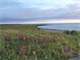 17-Acres-River and Bristol Bay Access. Great Brown Bear Hunting and Salmon Photo 2