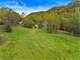588 Acre Hunting Retreat in Mooresburg TN Photo 17