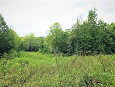 Listing: 4084685, Boston, KY