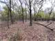 Hunting Land for Sale in Dublin TX Photo 11