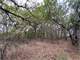 Hunting Land for Sale in Dublin TX Photo 12