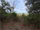 Hunting Land for Sale in Dublin TX Photo 14