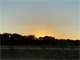 Hunting Land for Sale in Dublin TX Photo 16