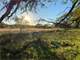 Hunting Land for Sale in Dublin TX Photo 4