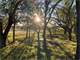 Hunting Land for Sale in Dublin TX Photo 5